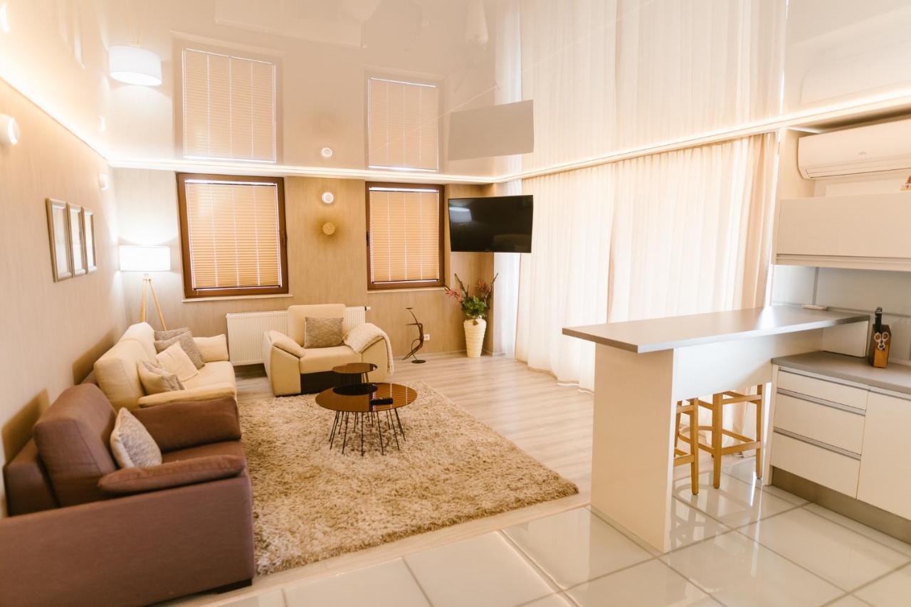 Sky View - Luxury Apartment With A Dream View ブラショフ エクステリア 写真